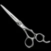 Akashi PREMIUM CUT PC-B65 Haarschere Online
