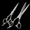 Akashi SUPER CUT COBALT SCC-Set 8-6.0 Scherenset Best