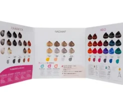 Alter Ego Passion Color Mask Farbkarte 2024 Outlet
