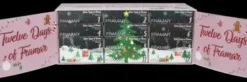 FRAMAR Advent Calendar Outlet