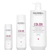 GOLDWELL Dualsenses Color Brilliance Shampoo Best