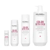 GOLDWELL Dualsenses Color Extra Rich Brilliance Shampoo New