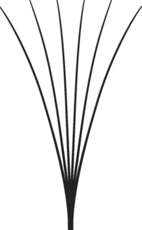 LASH beLONG Easy Volume Lashes 6D - MIX-Box C-Curl Sale