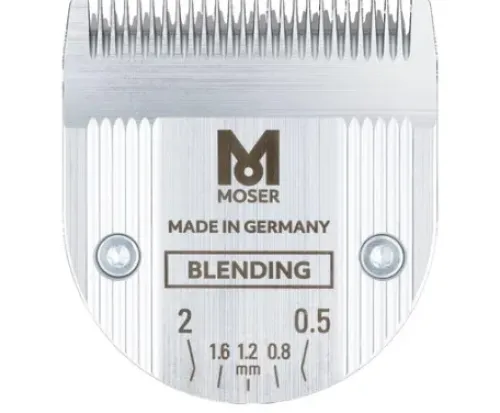 Moser Schneidesatz Blending Clearance