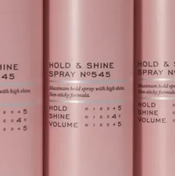 REF Hold & Shine Spray Nr. 545 New